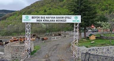 Tokat'ın Yanı Başındaki İnek Oteli Boş Kaldı