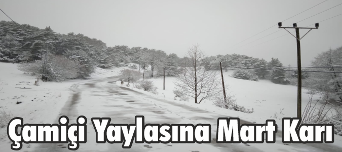 Çamiçi Yaylasına Mart Karı