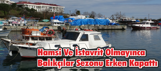 Hamsi ve İstavrit Olmayınca Balıkçılar Sezonu Erken Kapattı
