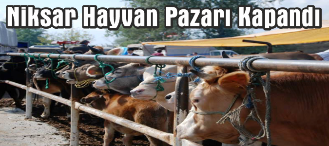 Niksar Hayvan Pazarı Kapandı