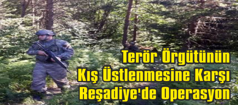 Reşadiye'de jandarma ekipleri terör örgüt mensuplarının kış üstlenmesine karşı operasyon düzenledi.