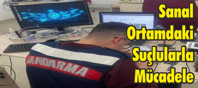 Sanal Ortamdaki Suçlularla Mücadele 